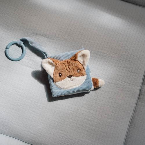 LITTLE DUTCH BUGGYBOEKJE