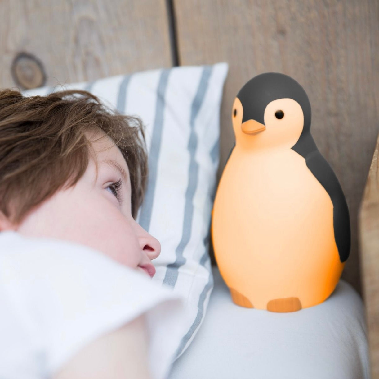 ZAZU SLAAPTRAINER PAM PINGUIN
