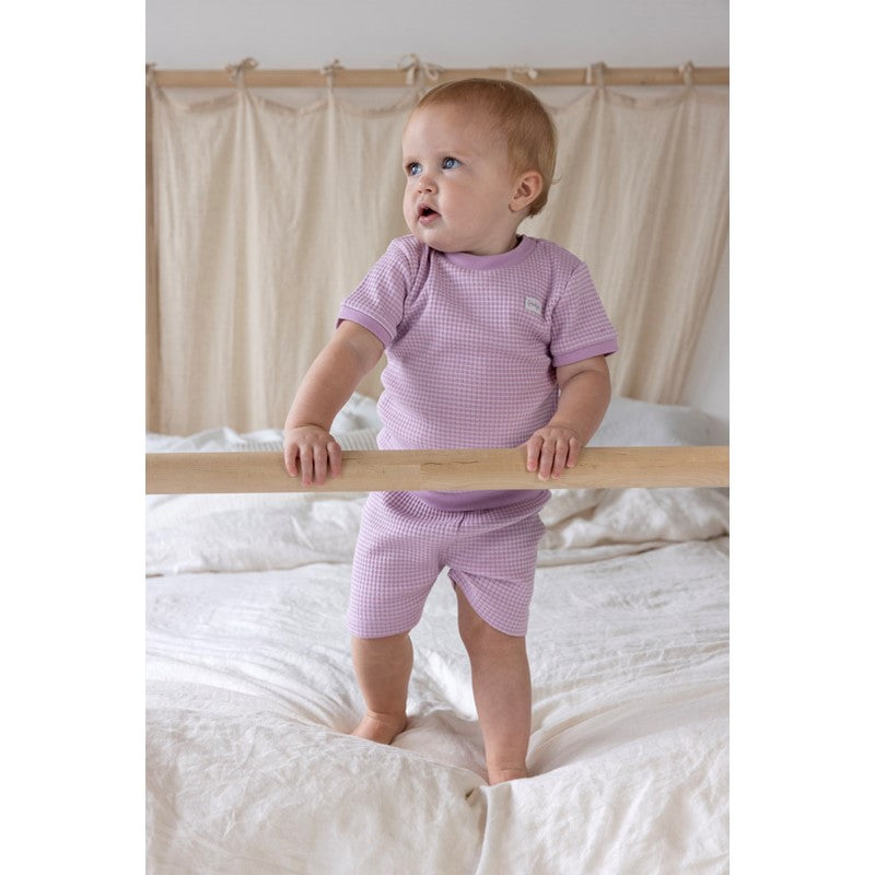 FEETJE SHORTAMA WAFEL SUMMER SPECIAL