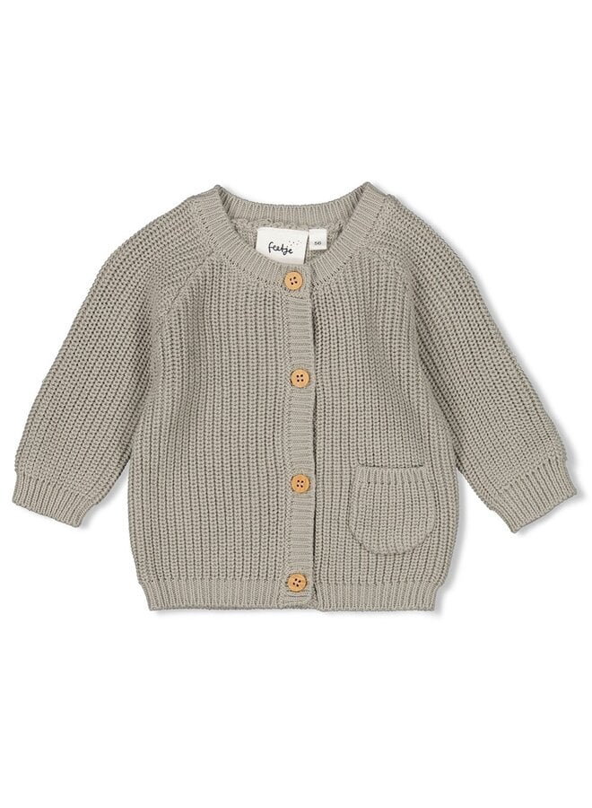 FEETJE VESTJE GEBREID AUTUMN SWEETNESS MINT