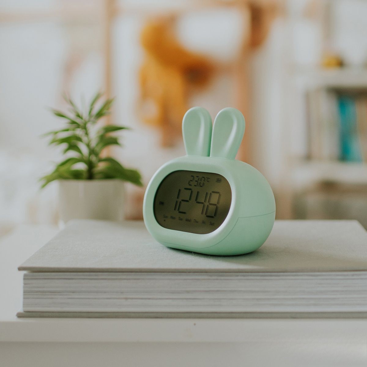 MARY'S ALARM CLOCK RABBIT