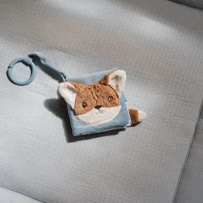 LITTLE DUTCH BUGGYBOEKJE