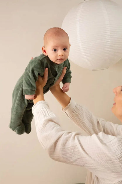 WITLOF BOXPAKJE VELVET RIB