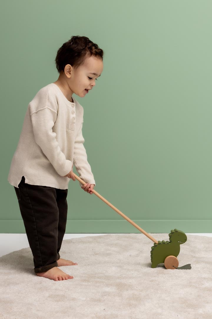 TRIXIE HOUTEN DUWSTOK MR. DINO