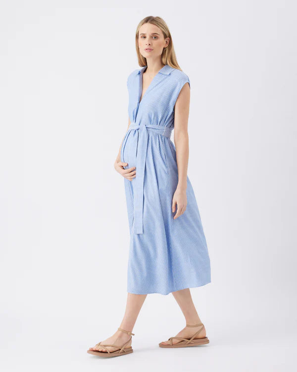 RIPE ABBY GESTREEPTE JURK