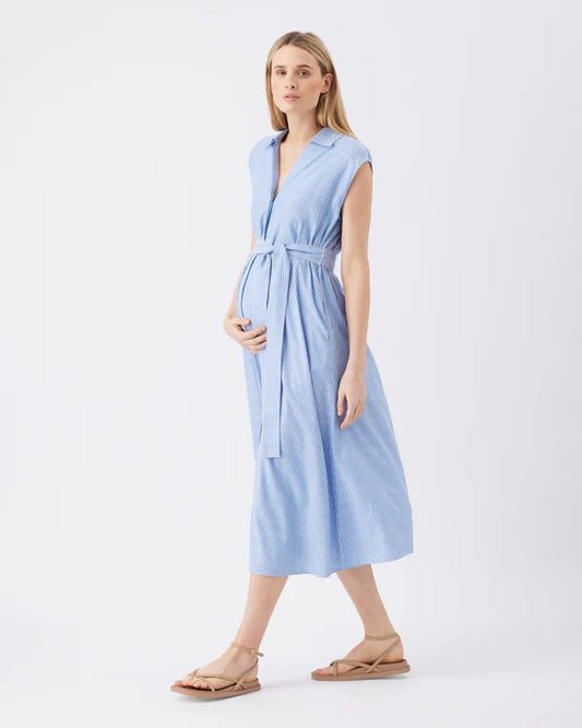 RIPE ABBY GESTREEPTE JURK
