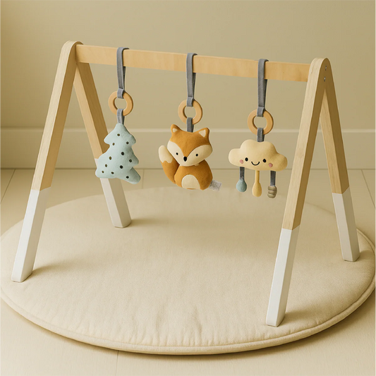 ++HOUTEN BABYGYM