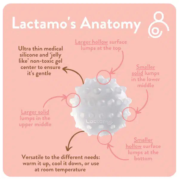 LACTAMO BORSTMASSAGEHULP