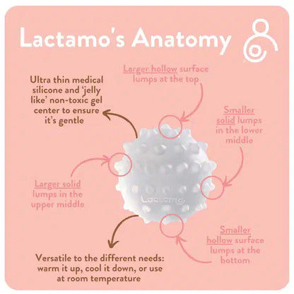 LACTAMO BORSTMASSAGEHULP