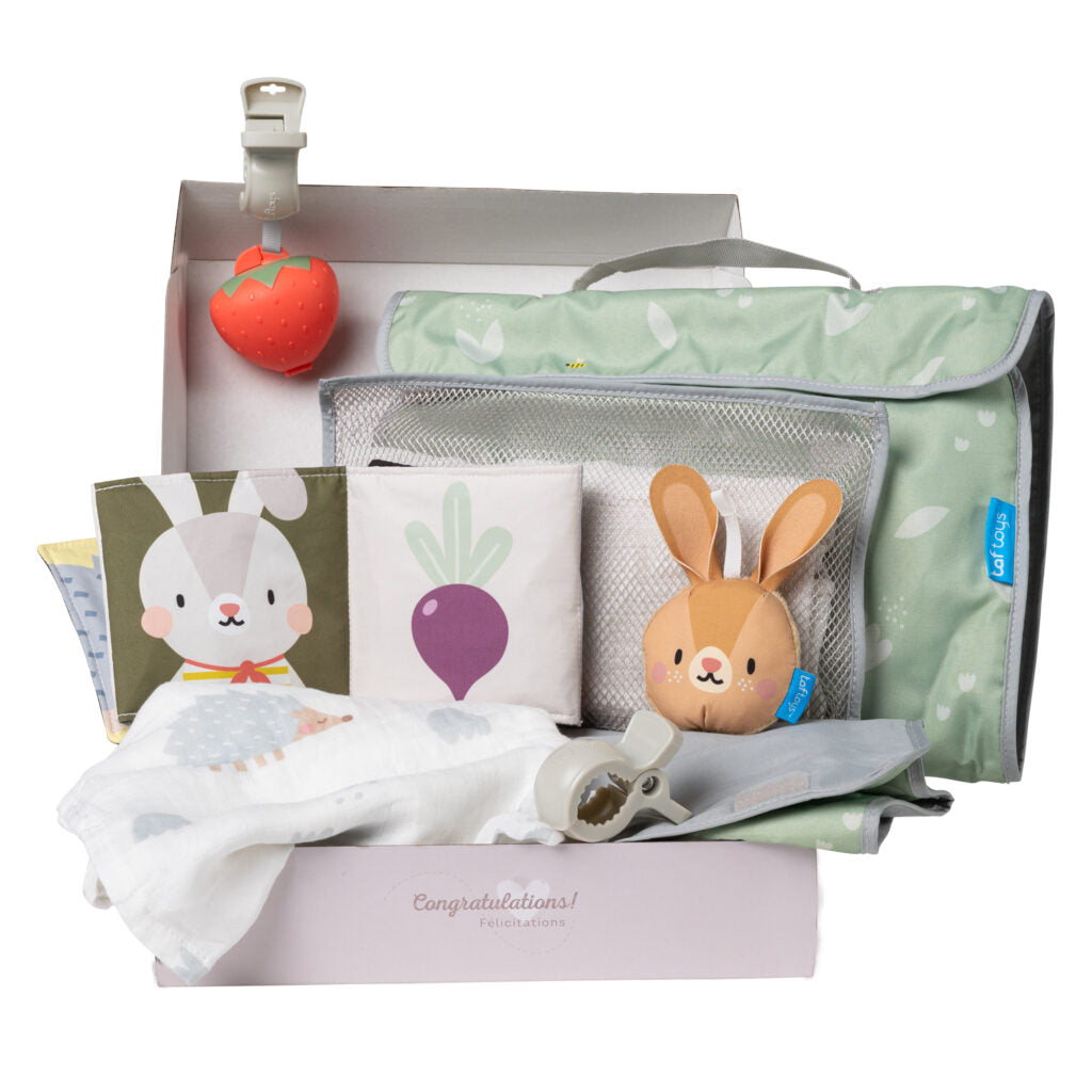 TAF TOYS NEWBORN OUTDOOR KIT