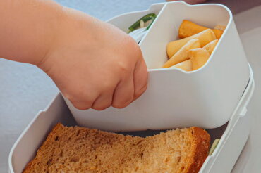 LITTLE DUTCH LUNCHBOX BENTO LITTLE FARM